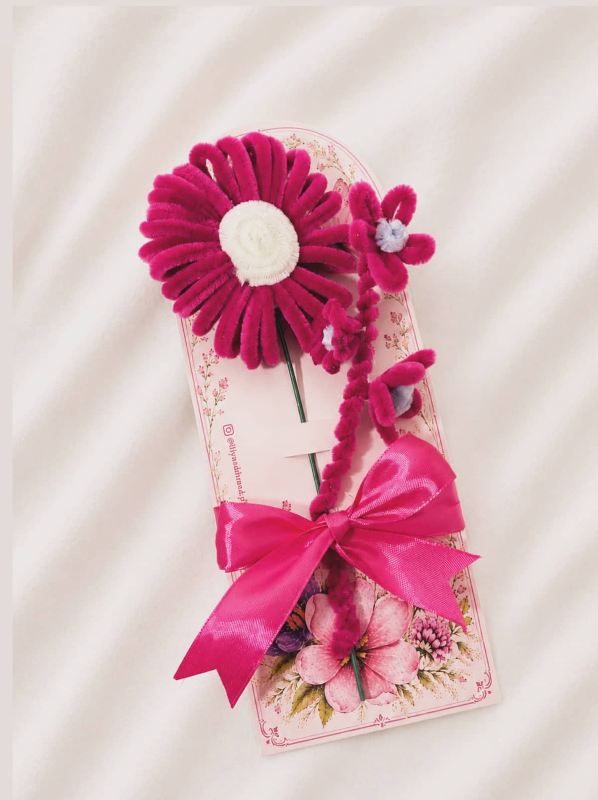 Gerbera Daisy
